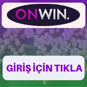 Onwin giriş